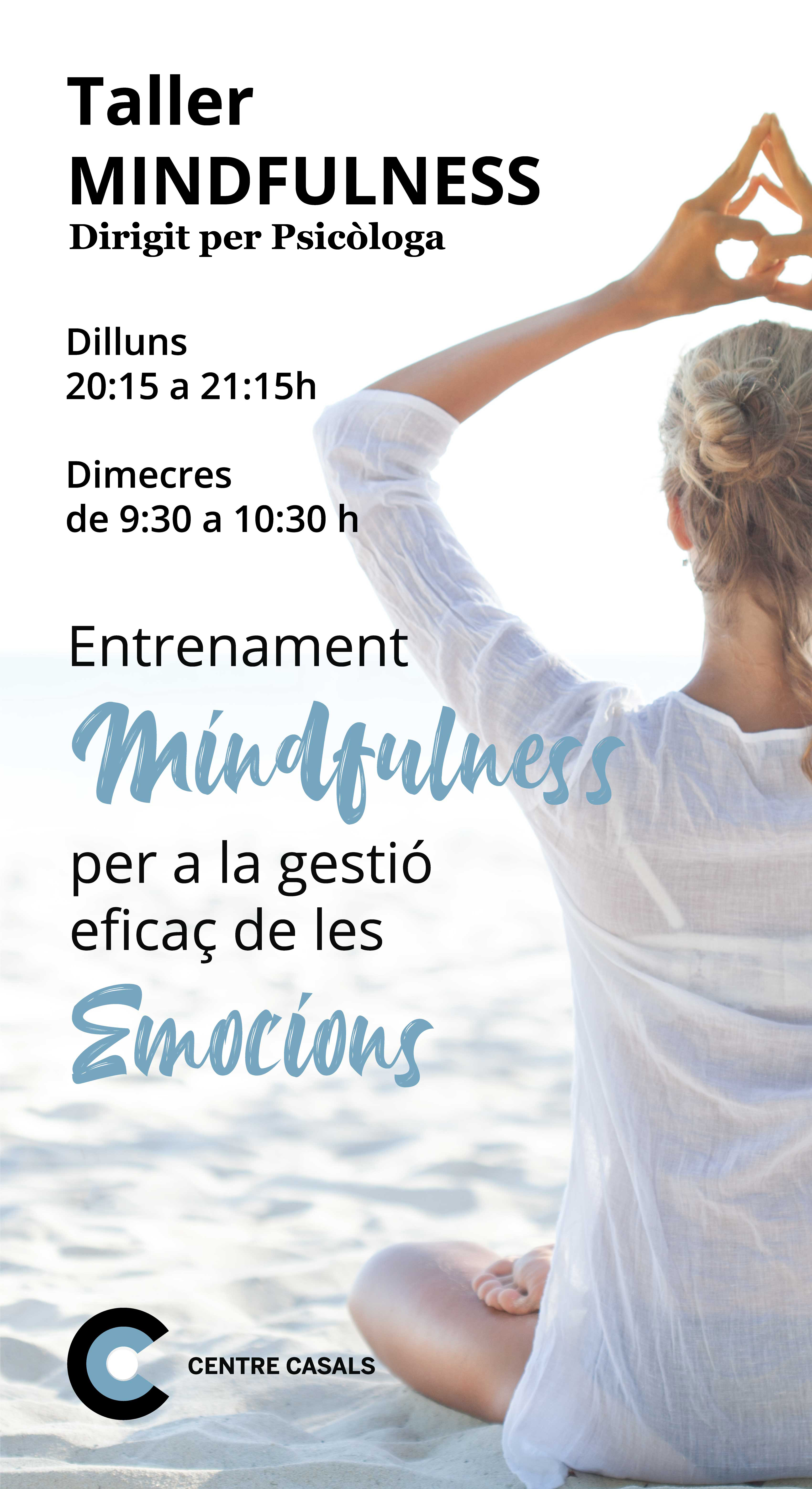 TALLER MIND FULNESS FACEBOOK TALLER MIND FULNESS FACEBOOK